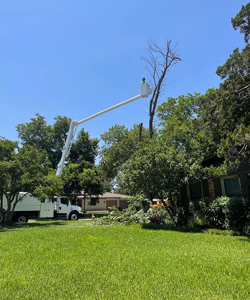 Emergency Tree Service, Pruning & Land Clearing in Arlington