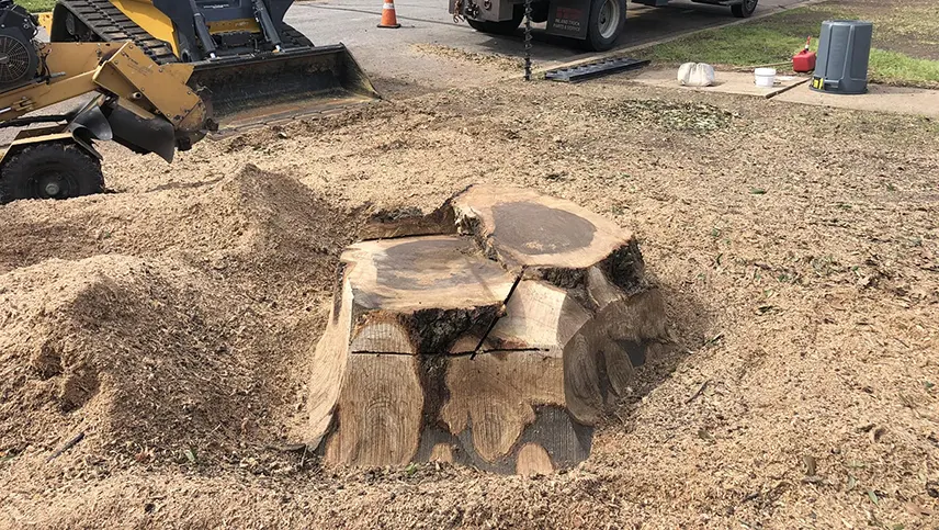 stump_grinding